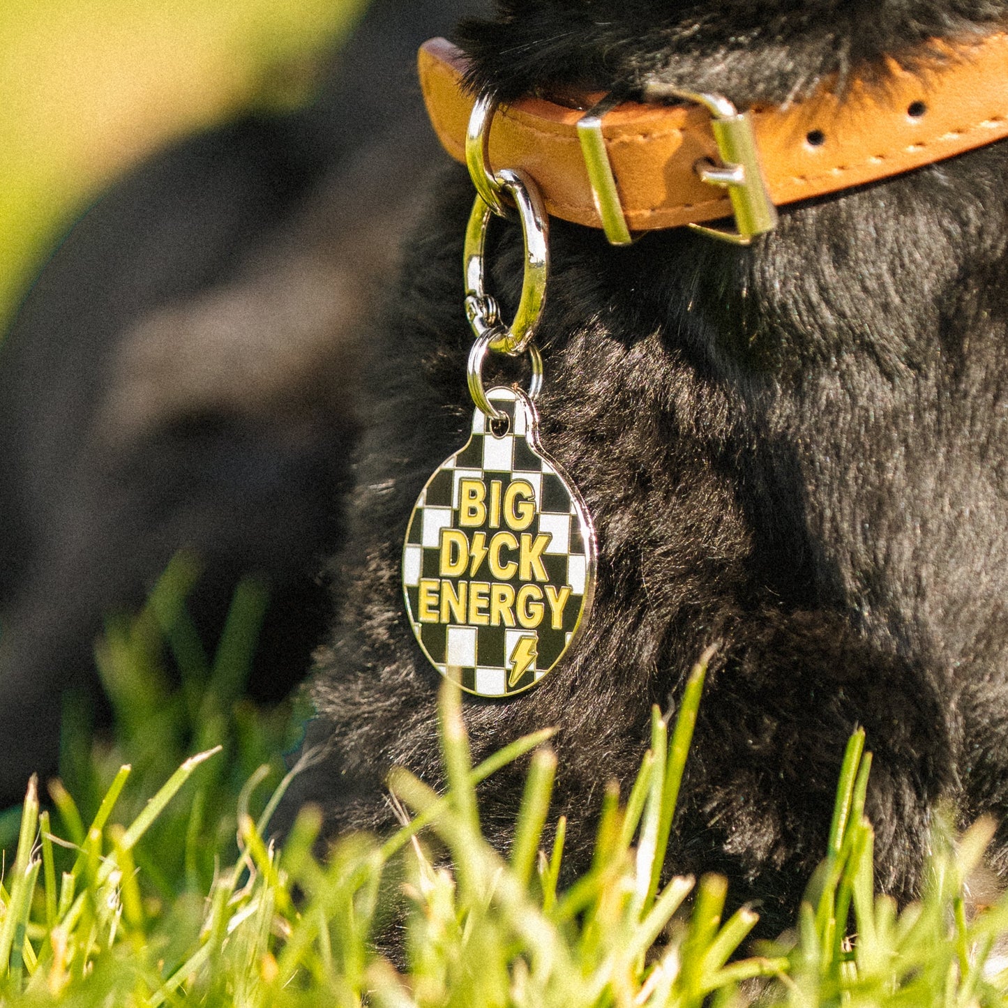 Big D!ck Energy
