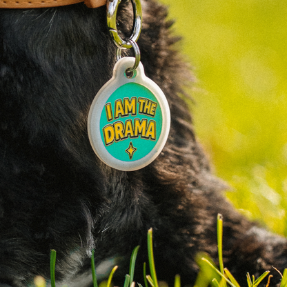 I am the Drama