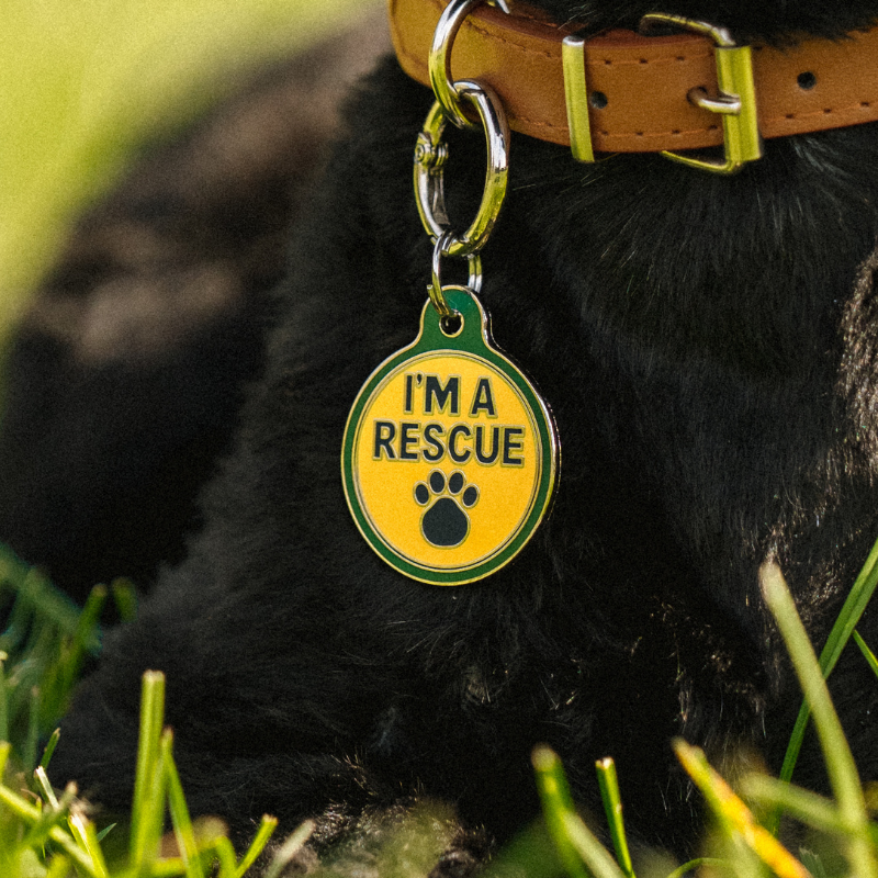 I’m a Rescue
