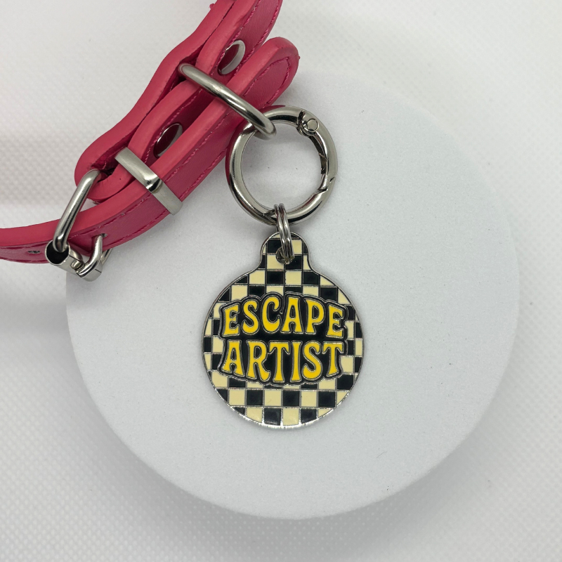 Escape Artist